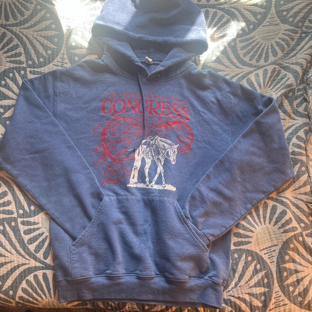 Blue Hoodie with Red & White Horse Graphic